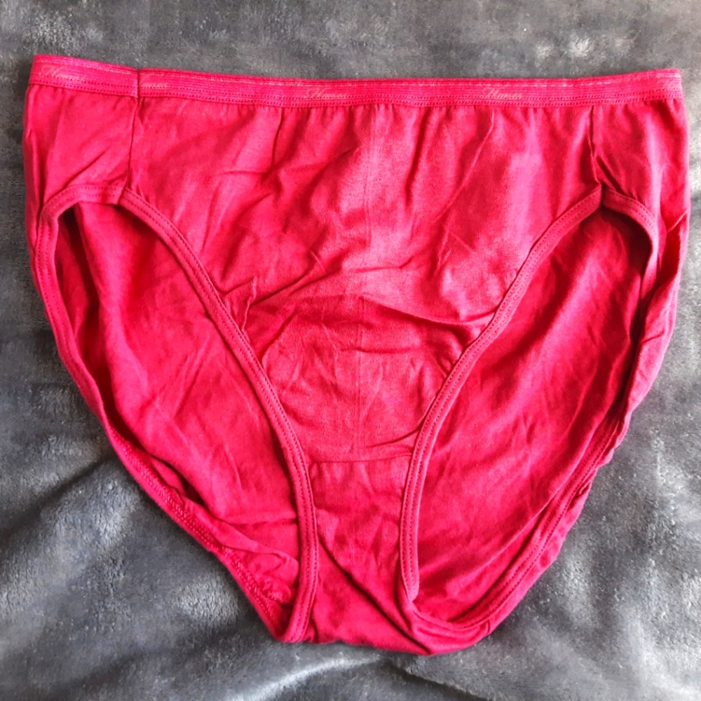 Nwot Hanes xl brief